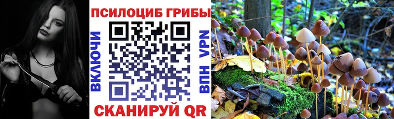Галлюциногенные грибы мицелий  Купить  Зарайск 